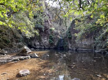 Tocht Stappen Thouars - DEUX-SEVRES / THOUARS: CASCADE DE POMMIERS (Ruisseau du Presssoir) - Photo