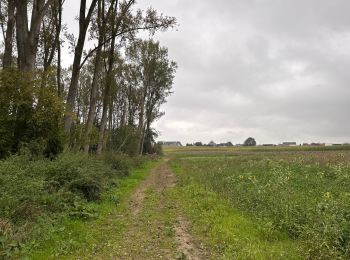 Percorso Marcia Lennik - Sint Martens Lennik 7,9 km - Photo