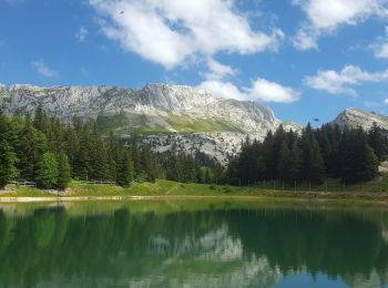 Tour Wandern Villard-de-Lans - Pas de L'OEILLE, circuit au départ des Glovettes (Villard de Lans) - Photo