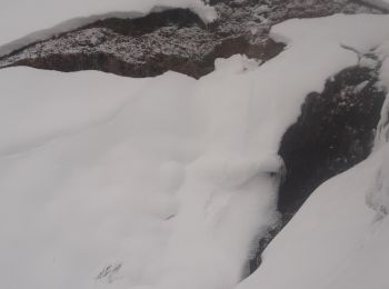 Randonnée Raquettes à neige Bussang - le Drumont depuis ORTF - Photo