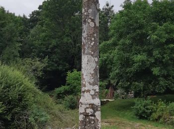 Excursión Senderismo Trélans - Les plagnes à Saint Chely l'aubrac  - Photo