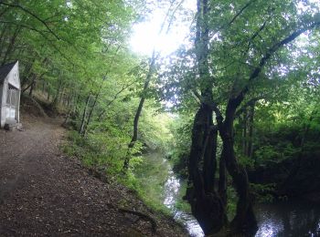 Percorso Mountainbike Beaumont - Beaumont cousolre - Photo