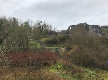 Randonnée Marche Wanze - CHATEAU DE MOHA - Photo