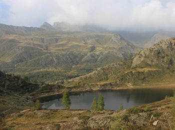 Trail On foot Carona - (SI D19S) Rifugio Fratelli Calvi - Rifugio Antonio Baroni al Brunone - Photo