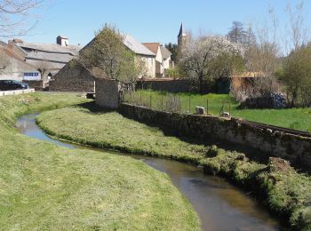 Percorso A piedi Pionsat - La Vallee du Boron - Photo