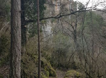 Tour Wandern Nant - Durzon et Canoles - Photo