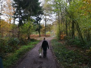 Randonnée Marche Durbuy - vossenbos - Photo