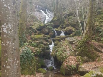 Trail Walking Escoussens - 81-Escoussens-la Blancarie-cascade de Mouscaillou-04/03/2023 - Photo