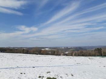 Tocht Stappen Theux - ferme haut marais . vert Buisson . croix papet . les cours . farineux  - Photo