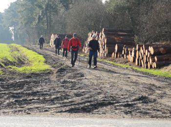 Excursión Senderismo Nivillac - Saint Criq rives gauches de la Vilaine  - Photo