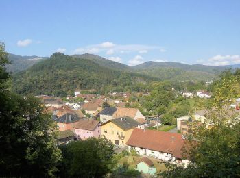 Randonnée A pied Goldbach-Altenbach - Firstacker - Willer sur Thur - Photo