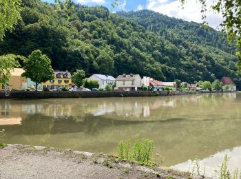 Randonnée A pied Haibach ob der Donau - Donau-Höhen-Rundwanderweg - Photo