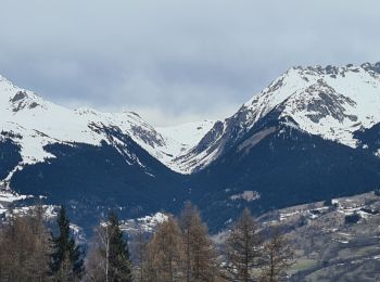 Randonnée Marche La Plagne-Tarentaise - plan bois - Photo