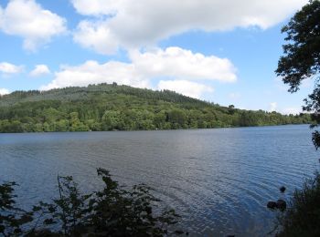 Percorso A piedi Sconosciuto - Castlewellan Forest Park - Moorish Tower Walk - Photo