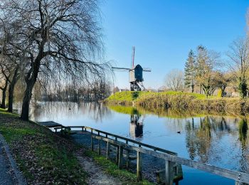 Percorso Marcia Diest - Webbekoms Broekwandeling - Rood - Photo