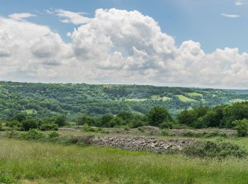 Tour Zu Fuß Mouret - Le Causse Comtal - Photo