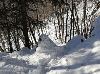 Excursión Senderismo Veyrier-du-Lac - Mont Baret - Photo