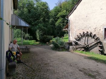 Percorso Marcia Baume-les-Dames - 20 8 2021Baume les Dames Mont Dommage les cuves de Blefond  - Photo