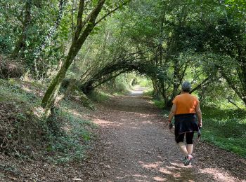 Excursión Senderismo Pont-Aven - le bois d'Amour - Photo