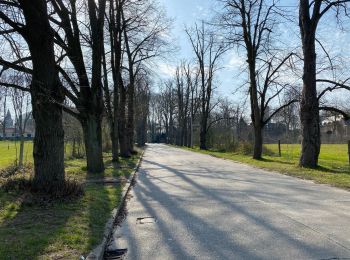 Excursión Senderismo Berchem-Sainte-Agathe - Sint-Agatha-Berchem - Tour de l’échangeur 10 km  - Photo