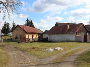 Tour Zu Fuß Řendějov - [Ž] Kácov - Koutský mlýn - Photo