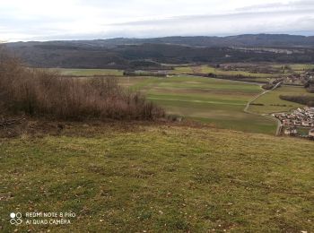 Tour Wandern Saint-Martin-du-Frêne - saint Martin du Fresne - Photo