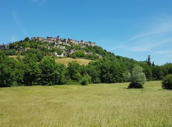 Tocht Stappen Cordes-sur-Ciel - Cordes sur Ciel - Photo