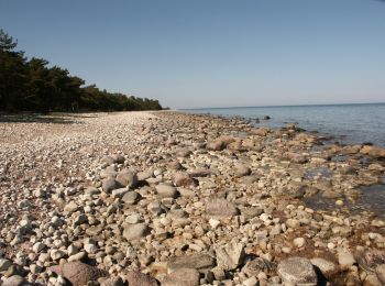 Randonnée A pied - Trollskogsstigen - Photo