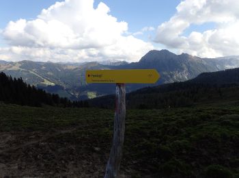 Tour Zu Fuß Großarl - Wanderweg 67 - Photo