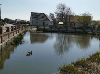 Randonnée Marche Petit-Caux - tocqueville sur eu  criel par gr 21 - Photo