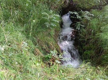 Tocht Stappen Puy-Saint-Eusèbe - canal de reyssas jusqu'aux Touisses / retour par le GR Serre-Ponçon via ravin de la pisse  - Photo