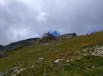 Randonnée Marche La Chapelle-d'Abondance - Cornettes de Bises - Photo