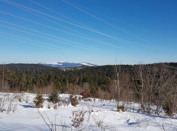 Excursión Raquetas de nieve Haut Valromey - La Manche La Cua Merlogne - Photo