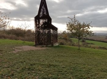 Tocht Stappen Borgloon - Borgloon - doorkojkerkerk - Photo