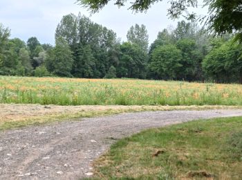 Tocht Stappen Touille - canal et lac de Touille4 - Photo