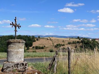 Trail Walking Domaize - Domaize_Croix_Fourchoux - Photo