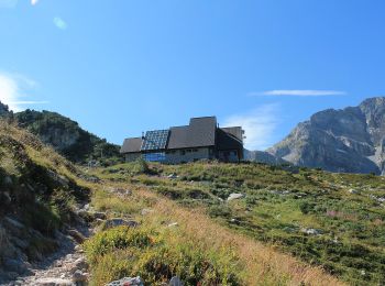 Tocht Te voet Roccaforte Mondovì - (SI E04) Rifugio Havis de Giorgio - Rifugio Garelli - Photo