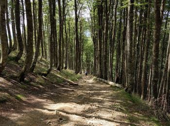 Randonnée Marche Saint-Michel - compostelle - camino Frances J2 : de Orisson à Espinal - Photo