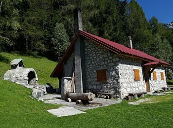 Trail On foot Dogna - IT-428 - Photo