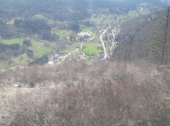 Randonnée Marche Rochesson - Rochesson - Photo