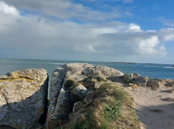 Trail Walking Quiberon - PR_56_Quiberon_BA_02_Circuit1b_Cote-Baie_20230102 - Photo