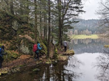 Randonnée Marche La Bresse - 2023-04-16 Marche Abri Lac de Blanchemer vers Lac de Lispach - Photo