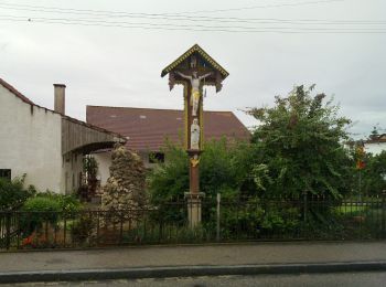 Excursión A pie Petersdorf - Rund um Hohenried - Photo