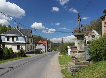 Percorso A piedi Rychnov u Jablonce nad Nisou - NS manželů Scheybalových 1. část - Photo