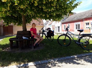 Randonnée Cyclotourisme Nevers - boucle  Nevers sancoin Nevers  - Photo