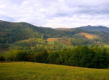 Percorso A piedi Bobbio - Monteventano - Casa Colombani - Passo Caldarola - Photo