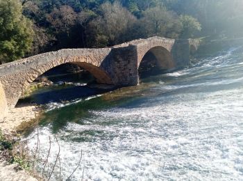 Randonnée Marche Vins-sur-Caramy - vins carces - Photo