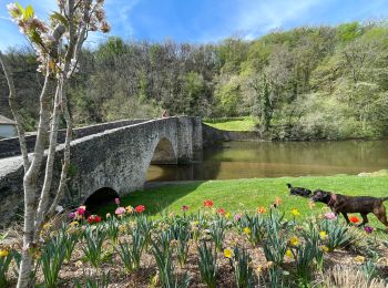 Percorso Marcia Solignac - Solignac Château de Chalucet retour Solignac par val de Briance  - Photo