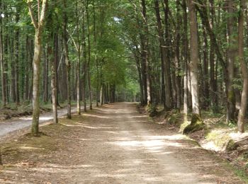 Tour Wandern Gif-sur-Yvette - gitane à Gif - Photo