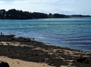 Excursión Senderismo Larmor-Baden - sentier du littoral depuis Berder au 21 mai 2019 - Photo